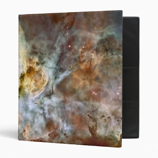 Pastel Marble in the Carina Nebula Binder