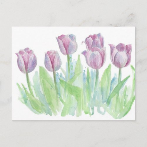 Pastel Mauve Lavender Tulip Watercolor Flowers Postcard