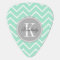 Pastel Mint Chevron with Gray Chevron