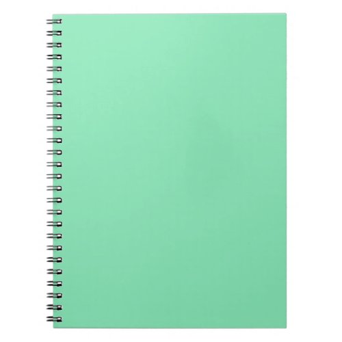 Pastel Mint Green Notebook