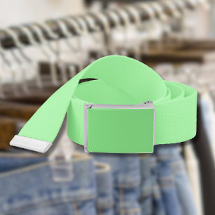 Pastel Mint Solid Color Classic Elegant Belt