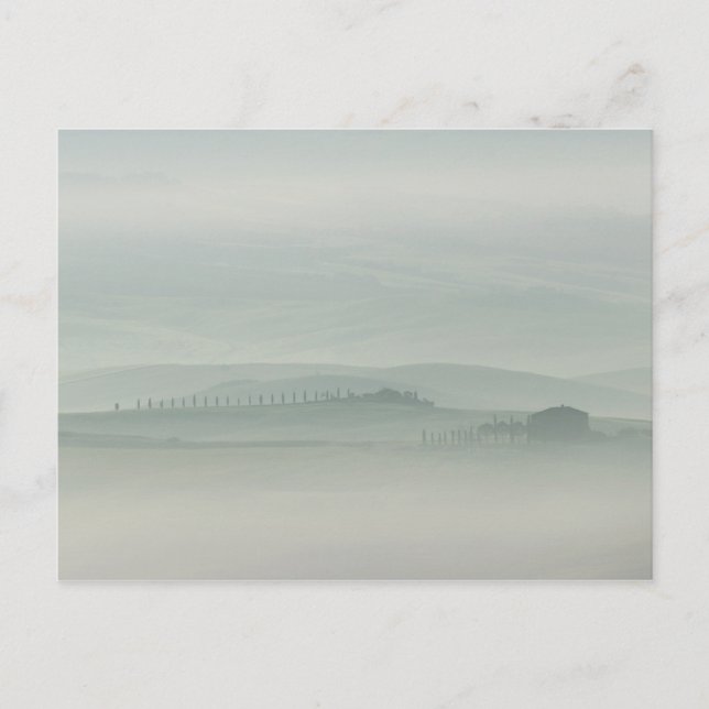 Pastel morning in foggy Tuscany Postcard (Front)