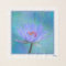"Pastel Morning" Water Lily Square Chiffon Scarf