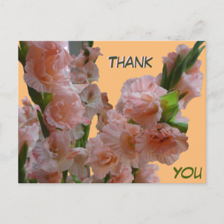 Pastel Orange Pink Gladioli Thank You Postcard
