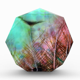 Pastel Peacock Feathers Photo Block