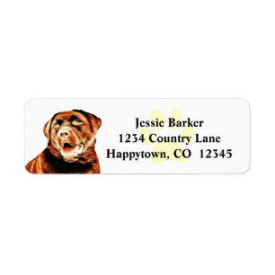 Pastel Pencil Chocolate Lab Return Address Label