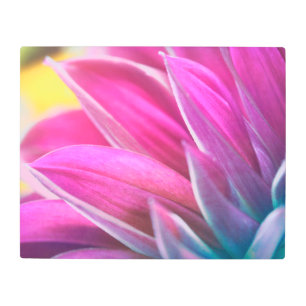 Pastel Petals Metal Wall Art