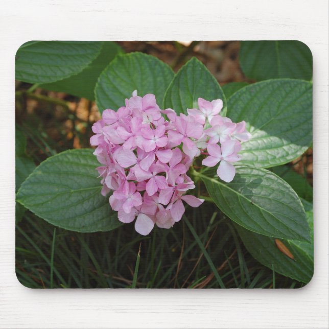 Pastel Petals Mouse Pad (Front)