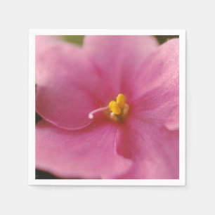 Pastel Pink African Violet (Saintpaulia) Flower Napkins