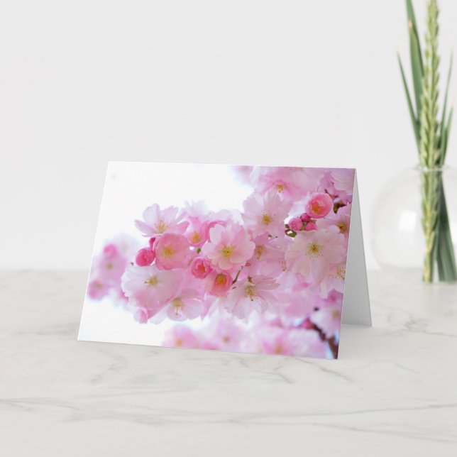 Pastel Pink Cherry Blossoms Card (Front)