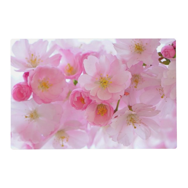 Pastel Pink Cherry Blossoms Placemat (Front)