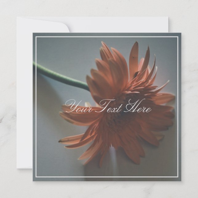 Pastel Pink Chrysanthemum Your Text Flat Card (Front)