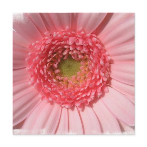 Pastel Pink Daisy  Invitations