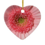 Pastel Pink Daisy  Ornament