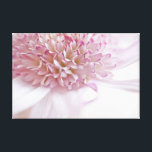 Pastel Pink Flower Canvas Print<br><div class="desc">Pastel Pink Flower photograph.</div>