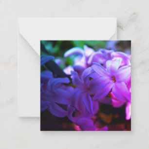 Pastel Pink Hyacinth (Hyacinthus) Flower Note Card