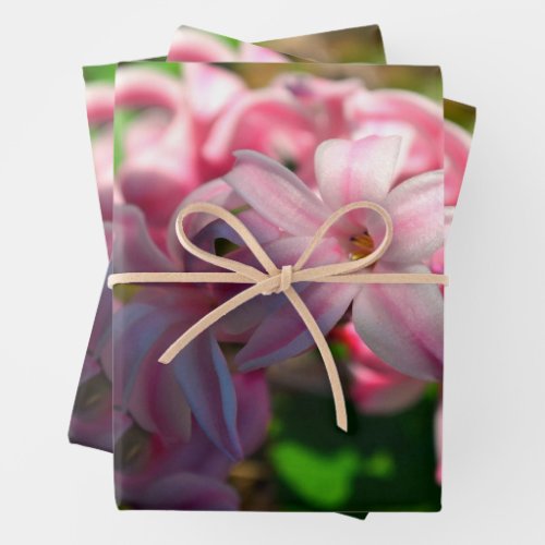 Pastel Pink Hyacinth Hyacinthus Flower Wrapping Paper Sheets