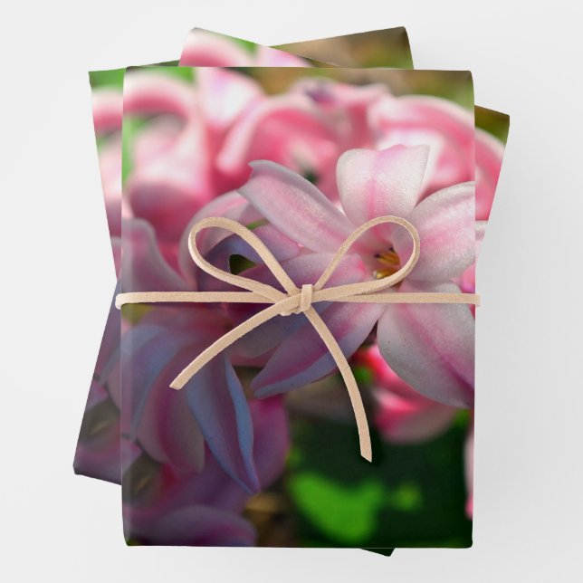 Pastel Pink Hyacinth (Hyacinthus) Flower Wrapping Paper Sheets (In situ)