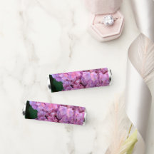 Pastel pink hydrangea bloom