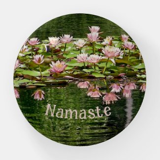Pastel Pink Lotel Blossoms And Reflection/Namaste