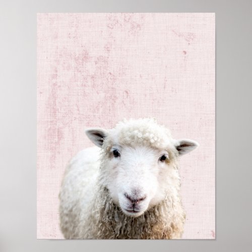 Pastel Pink Peekaboo Sheep Minimalist Nursery Poster