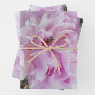 Pastel Pink Peony and Honey Bee Wrapping Paper Sheets