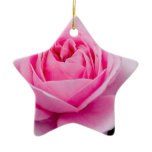 Pastel Pink Rose Ornament