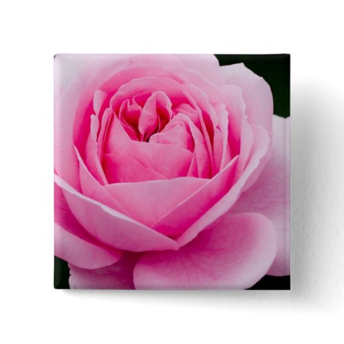 Pastel Pink Rose Pin