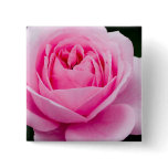 Pastel Pink Rose Pin