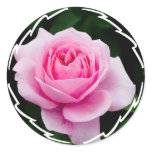 Pastel Pink Rose Stickers