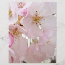 Pastel Pink Tree Blossoms Flyers Paper custom