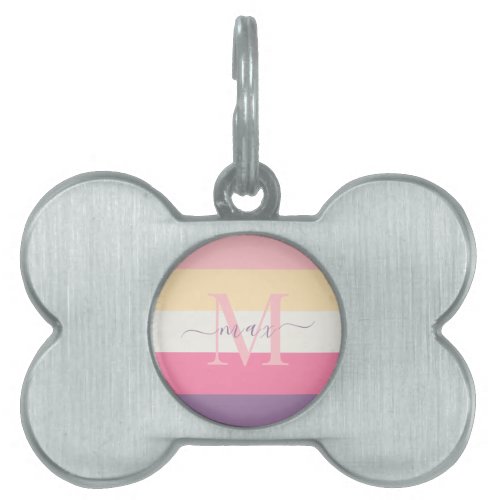 Pastel Pink White Yellow Purple Color Block  Pet ID Tag