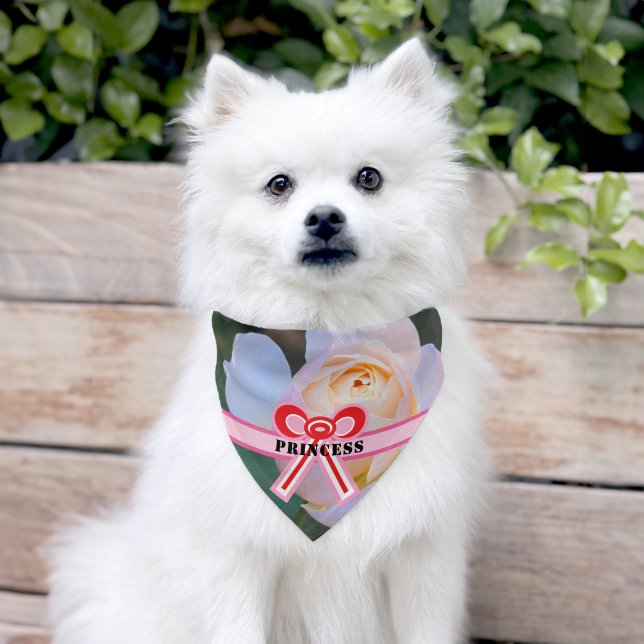 Pastel Pink Yellow Rose Bow Name  Pet Bandana Collar (Dog)