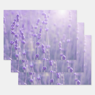 Pastel Purple Lavender Flowers Wrapping Paper Sheets