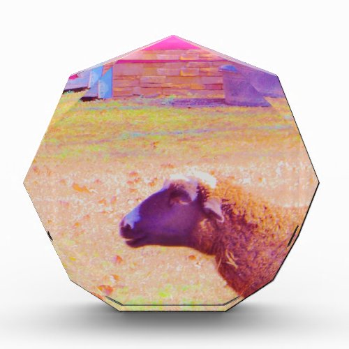 Pastel Rainbow Sheep Award