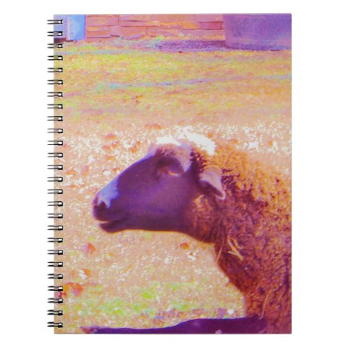 Pastel Rainbow Sheep Notebook
