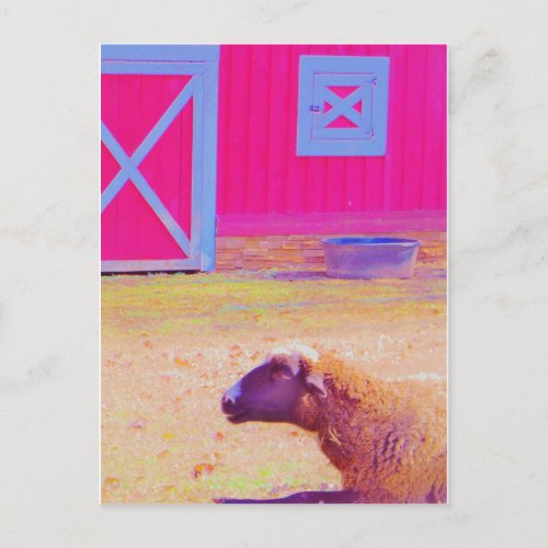 Pastel Rainbow Sheep Postcard