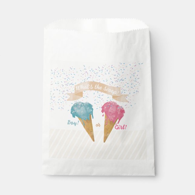 Pastel Retro Ice Cream Gender Reveal Party   Favor Bag (Front)