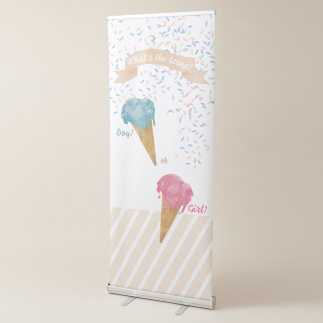 Pastel Retro Ice Cream Gender Reveal Party   Retractable Banner (3/4)