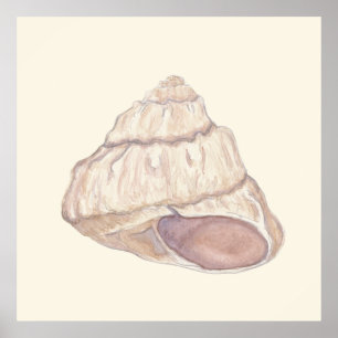 Pastel Seashell Beach House Art Poster
