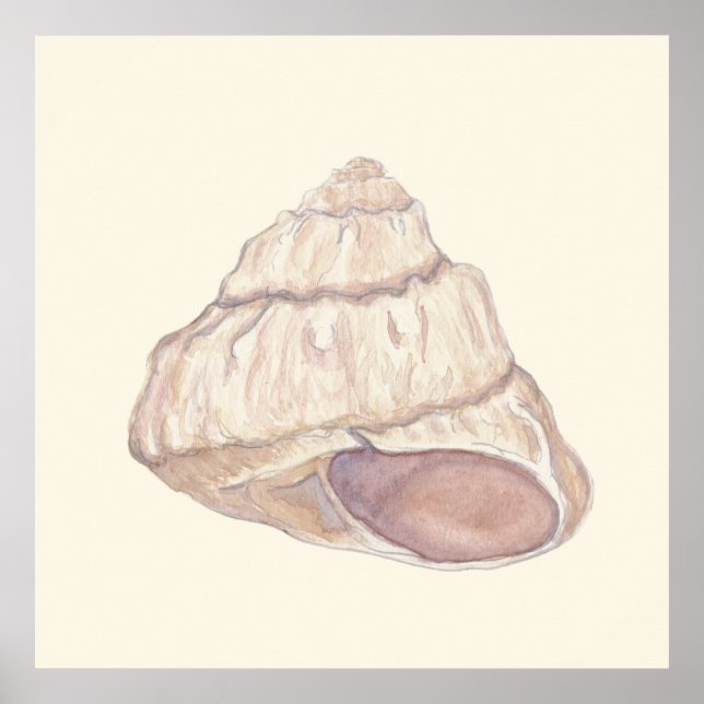 Pastel Seashell Beach House Art Poster (Front)