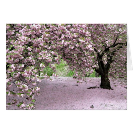 Pastel Serenity Cards (Front Horizontal)