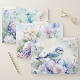 Pastel Spring Birds, Eggs, Flower Garden File Folder