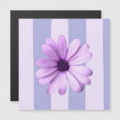 Pastel stripes pattern with Daisies (Front/Back)