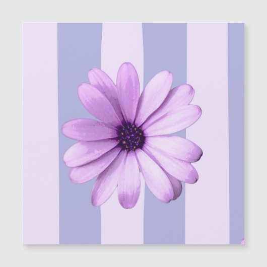 Pastel stripes pattern with Daisies (Front)
