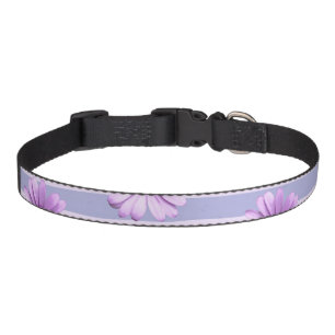 Pastel stripes pattern with Daisies Pet Collar