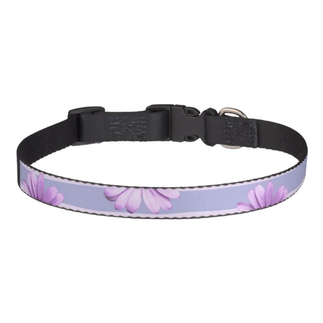 Pastel stripes pattern with Daisies Pet Collar (Front)