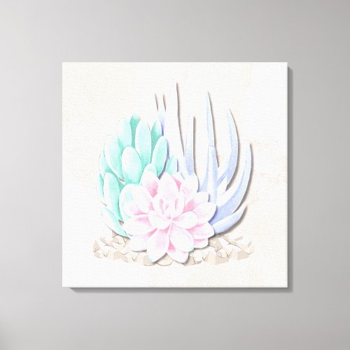 Pastel Succulents 24x24 Canvas Print