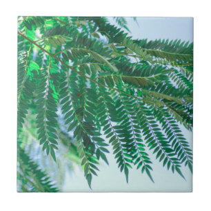Pastel Theme Jacaranda Tree Leaves Ceramic Tile