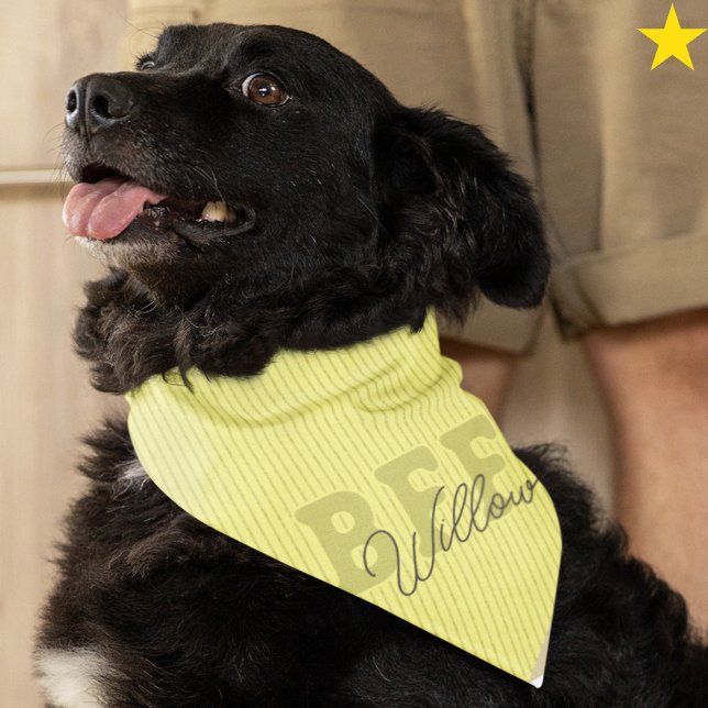 Pastel Yellow Best Friends Custom Name Pet Bandana (Creator Uploaded)